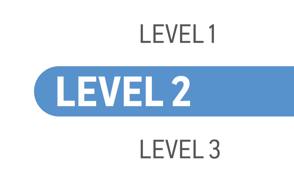 level 1 level 2 level 3